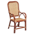 CC-103-Brown